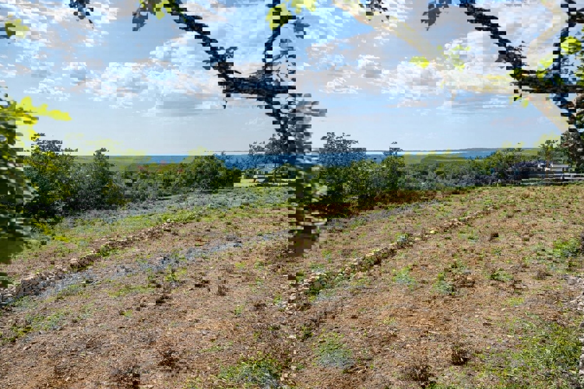 Terreno edificabile con vista mare