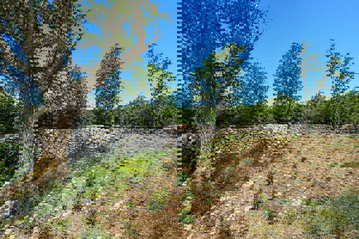 Terreno edificabile con vista mare