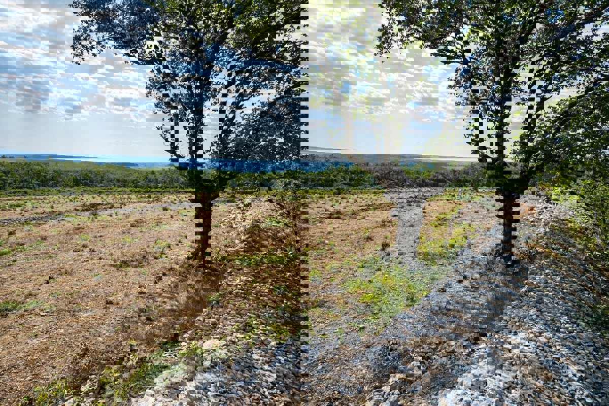 Terreno edificabile con vista mare