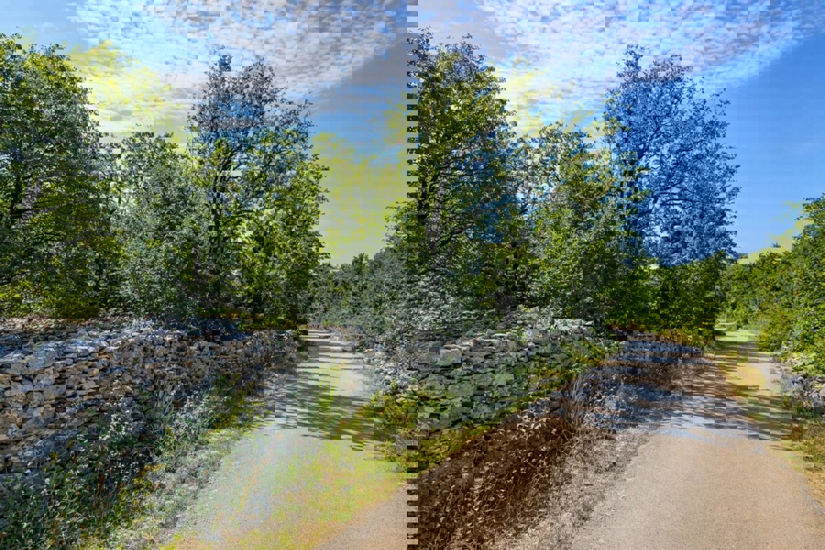 Terreno edificabile con vista mare