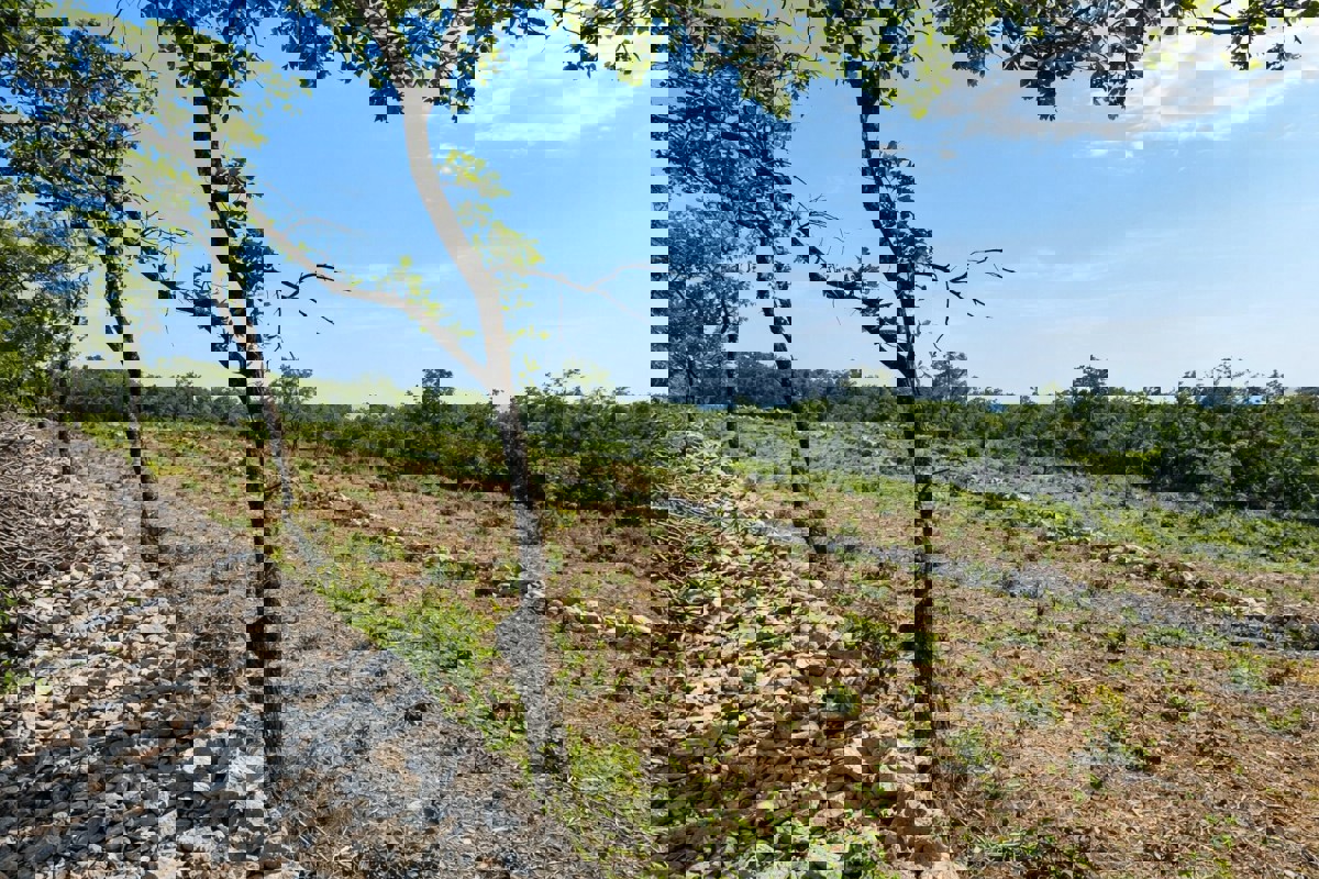 Terreno edificabile con vista mare