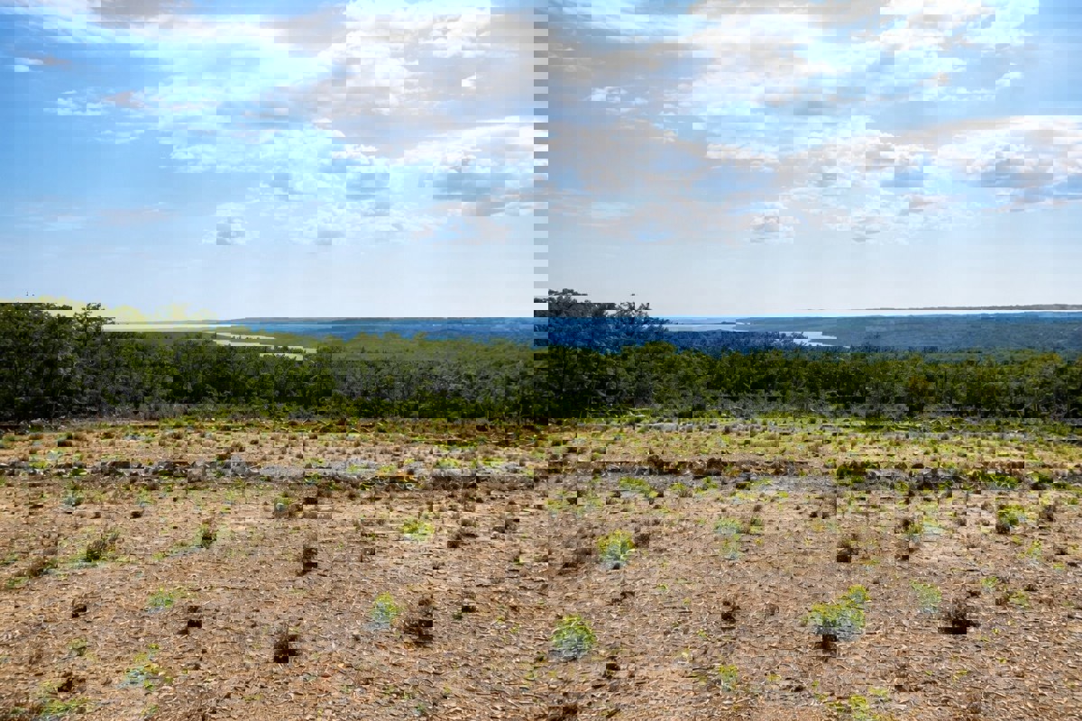 Terreno edificabile con vista mare