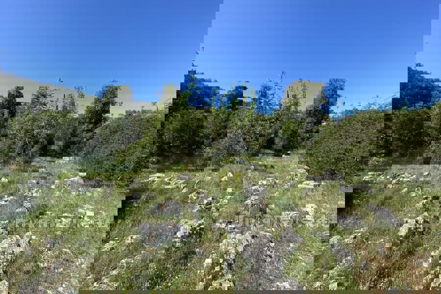Terreno edificabile in posizione attraente