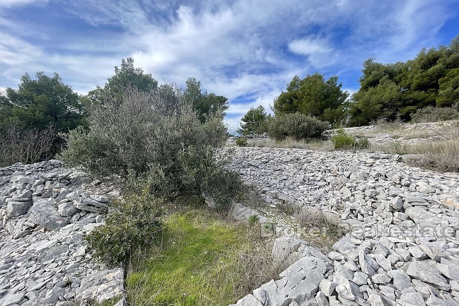 Terreno edificabile con vista mare