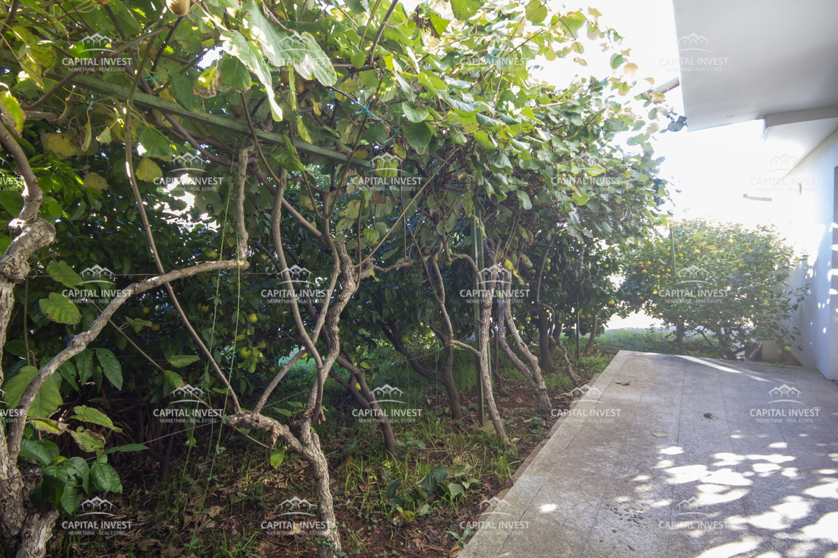 Casa con ampio terreno vicino al mare, Medulin, Istria