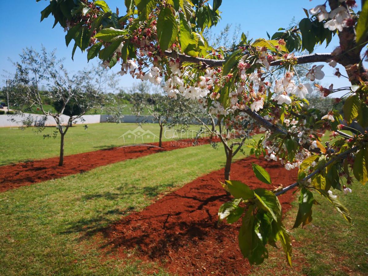 Casa con ampio giardino, Valtura, Pola