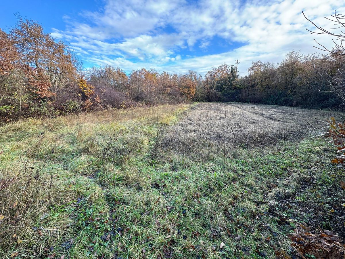 Terreno Juršići, Svetvinčenat, 4.171m2