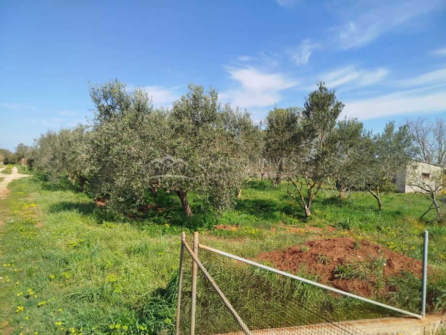 Terreno edificabile legalizzato, Pola