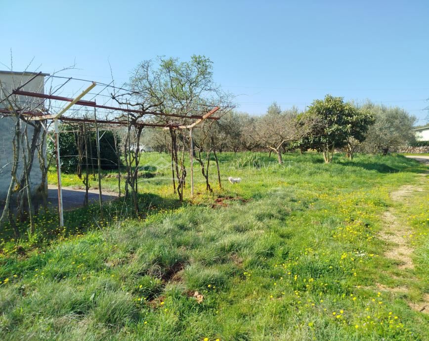 Terreno edificabile legalizzato, Pola
