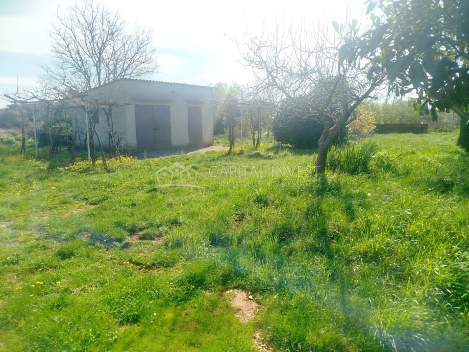 Terreno edificabile legalizzato, Pola