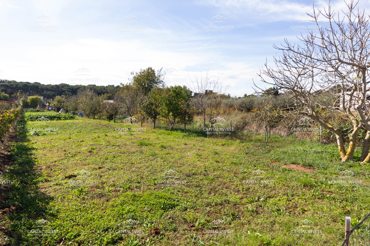 Terreno agricolo, Pola, Istria