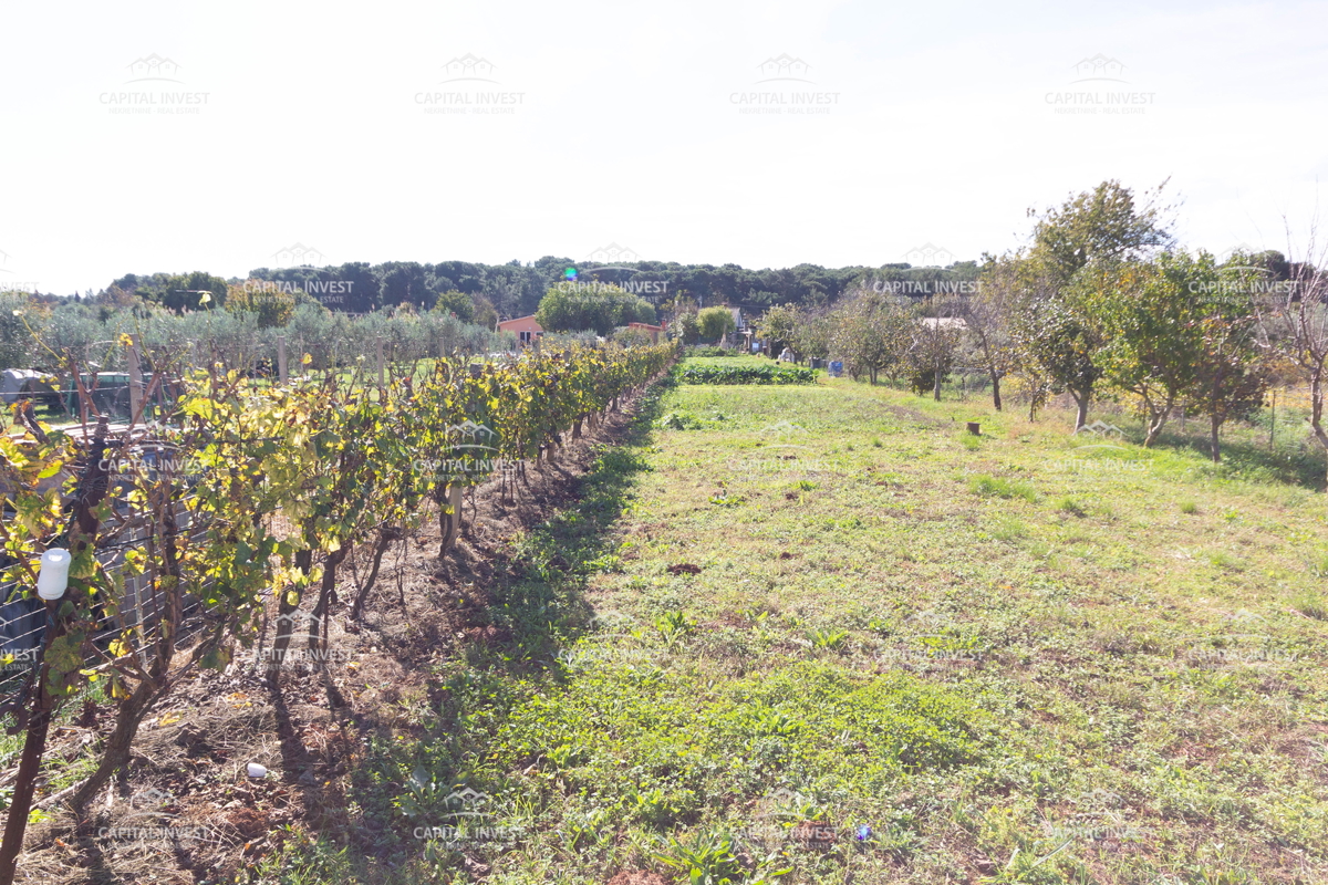 Terreno agricolo, Pola, Istria