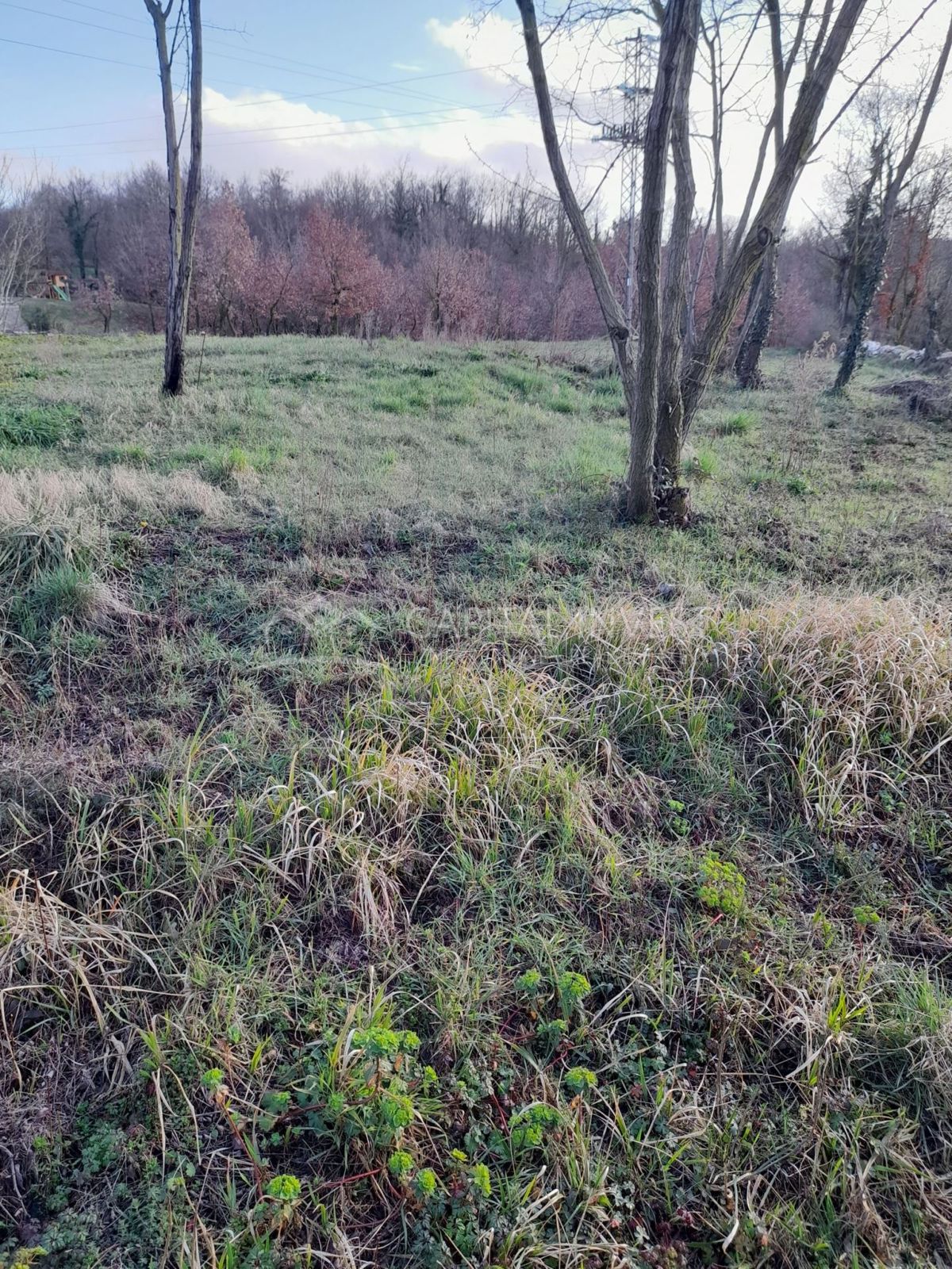 Terreno Žminj, 1.900m2