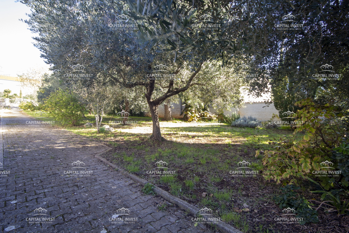 Casa con ampio terreno vicino al mare, Medulin, Istria