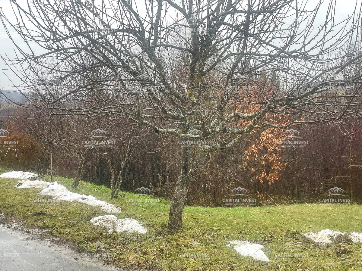 Complesso di terreni edificabili e agricoli, Cerovački Galovići, Duga Resa