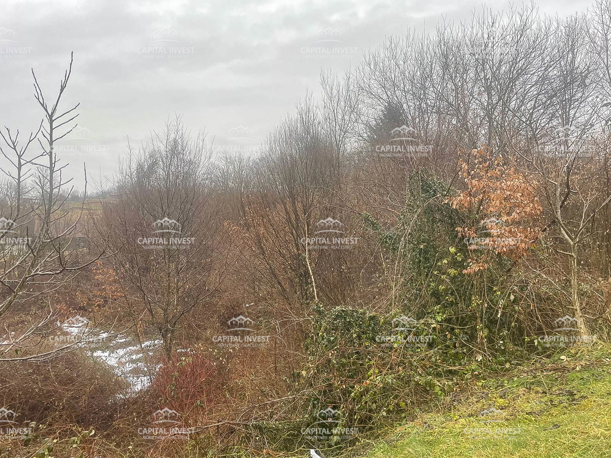 Complesso di terreni edificabili e agricoli, Cerovački Galovići, Duga Resa