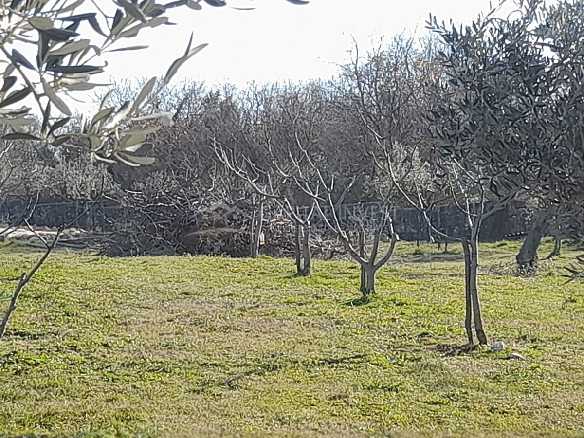 Terreno edificabile, Peruški, Istria