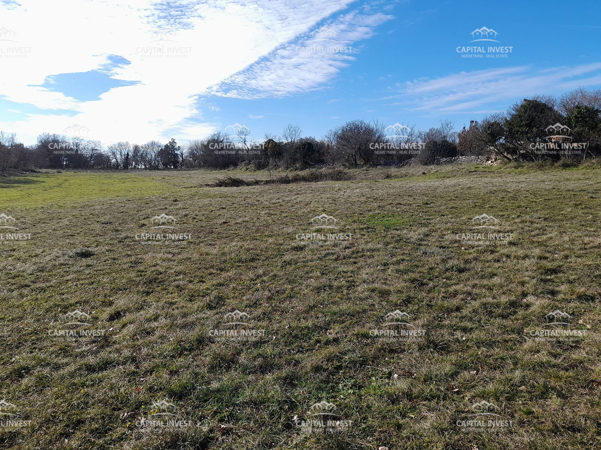 Terreno edificabile, Cokuni, Istra