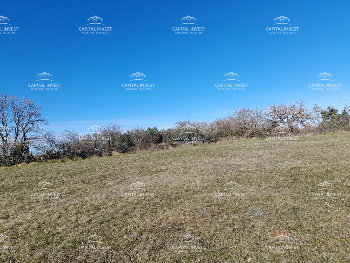 Terreno edificabile, Cokuni, Istra