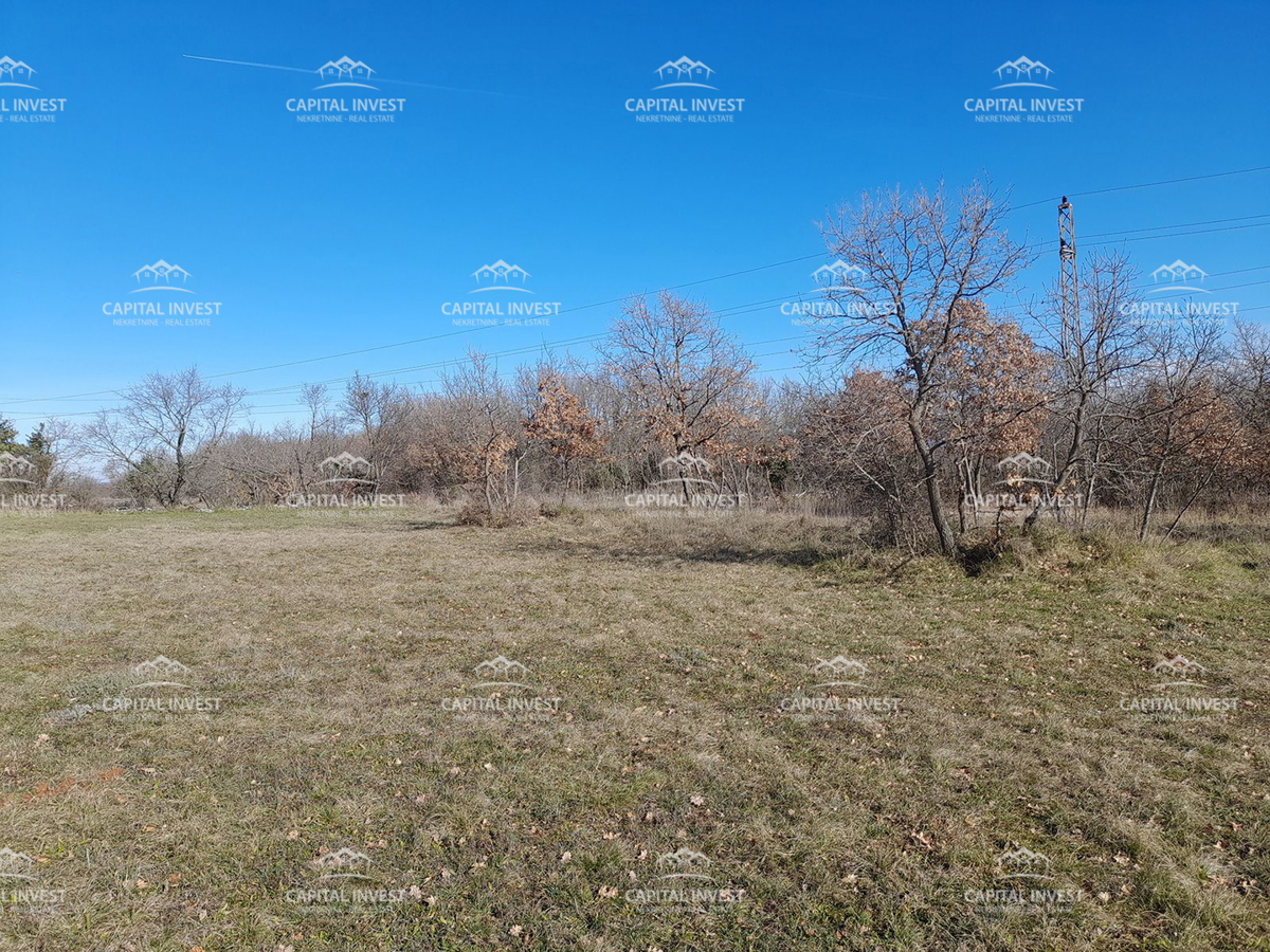 Terreno edificabile, Cokuni, Istra