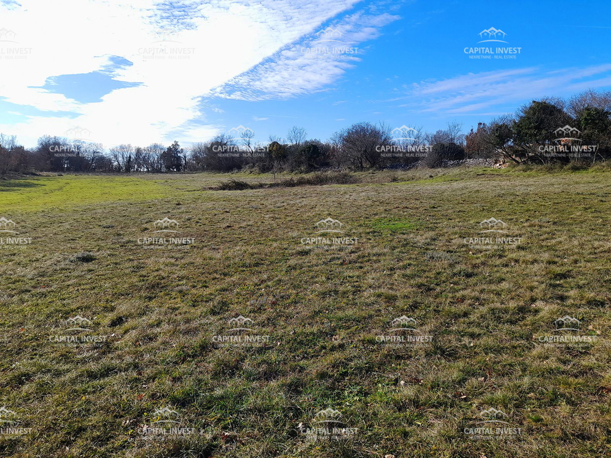 Terreno edificabile, Cokuni, Istra