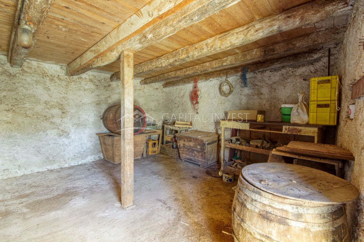 Casa Smoljanci, Svetvinčenat, 200m2