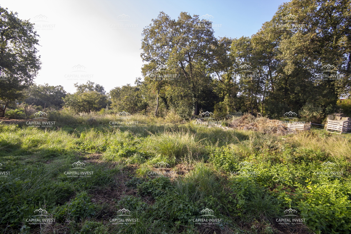 Terreno edificabile, Ližnjan, Istria