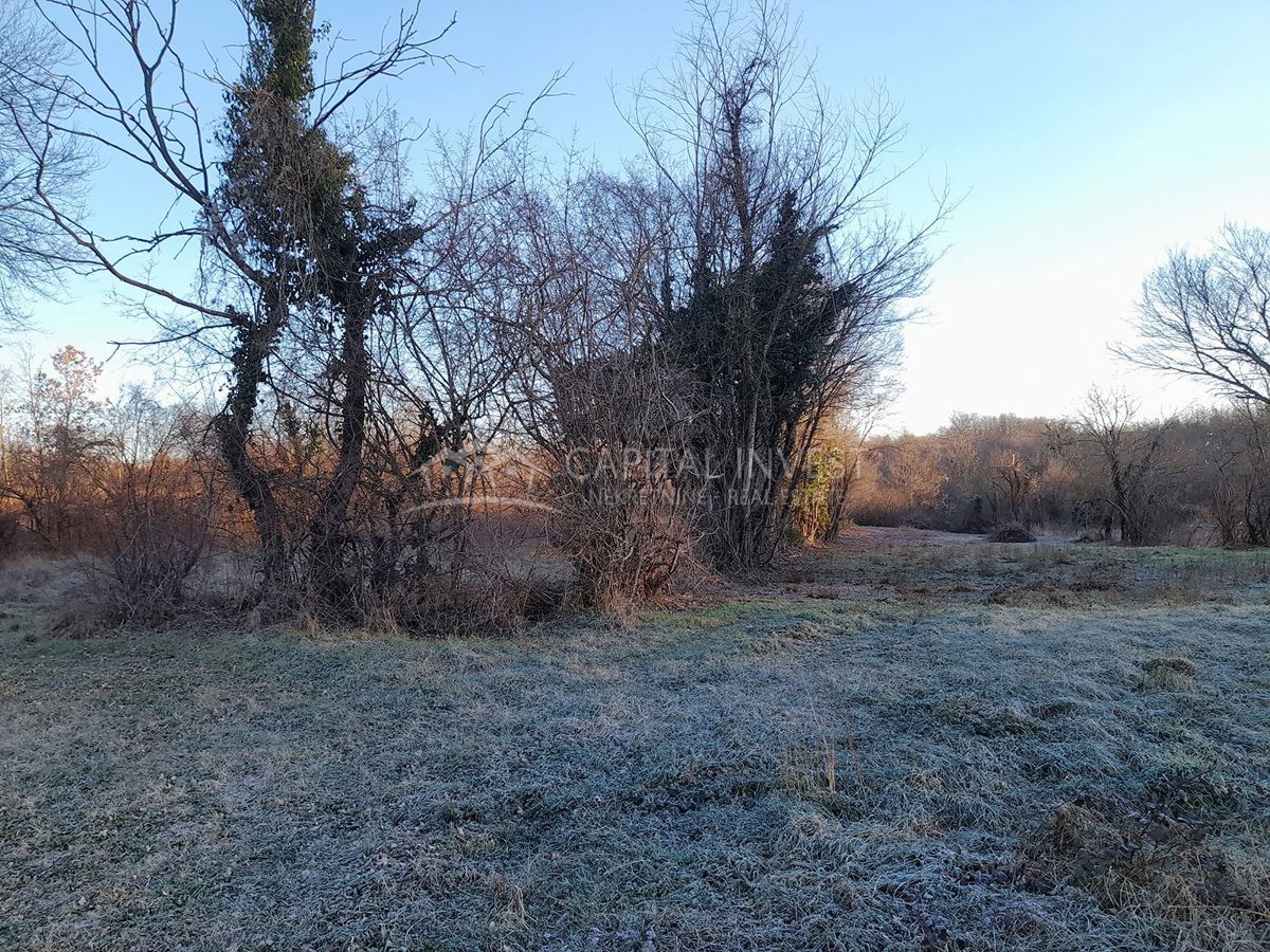 Terreno edificabile con progetto, Barban, Istria