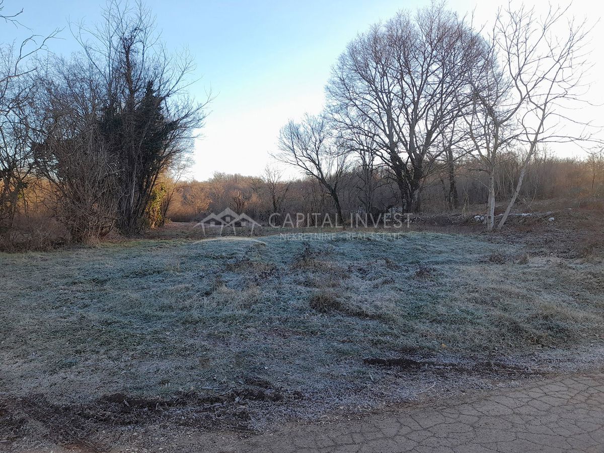 Terreno edificabile con progetto, Barban, Istria