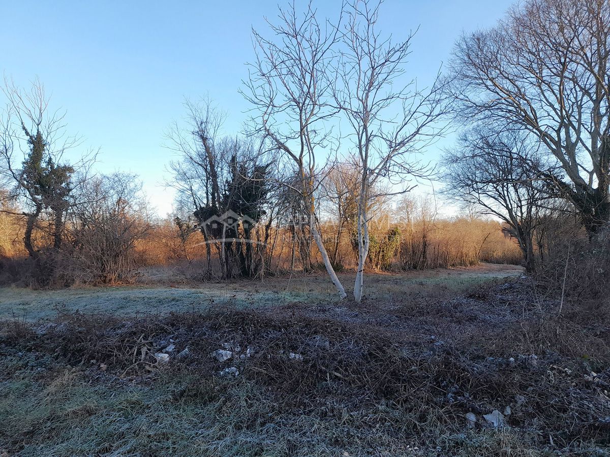 Terreno edificabile con progetto, Barban, Istria