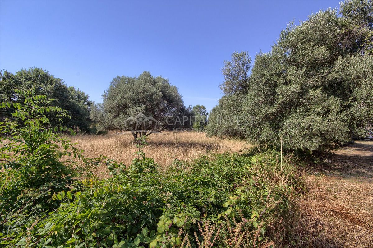Terreno Pavićini, Marčana, 800m2