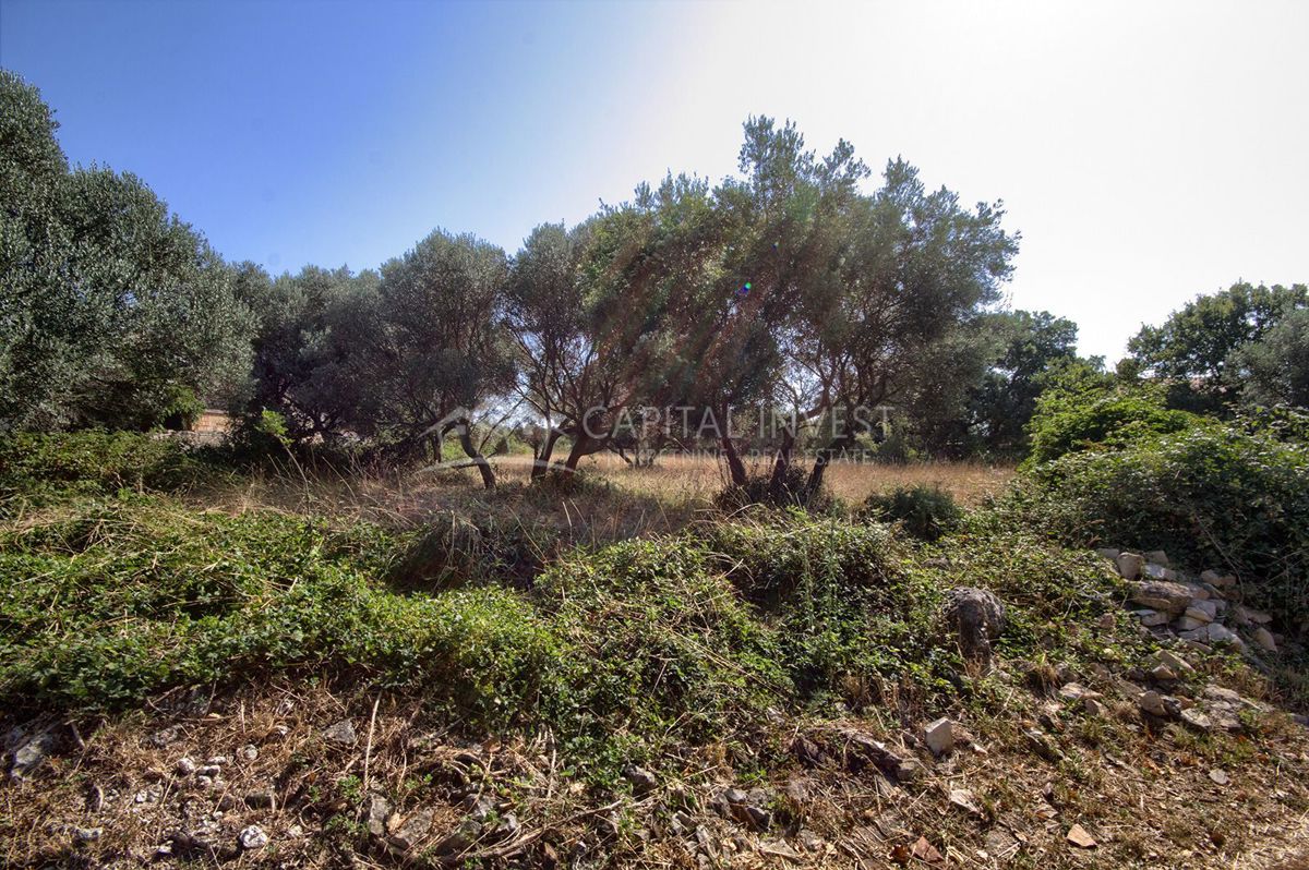 Terreno Pavićini, Marčana, 800m2