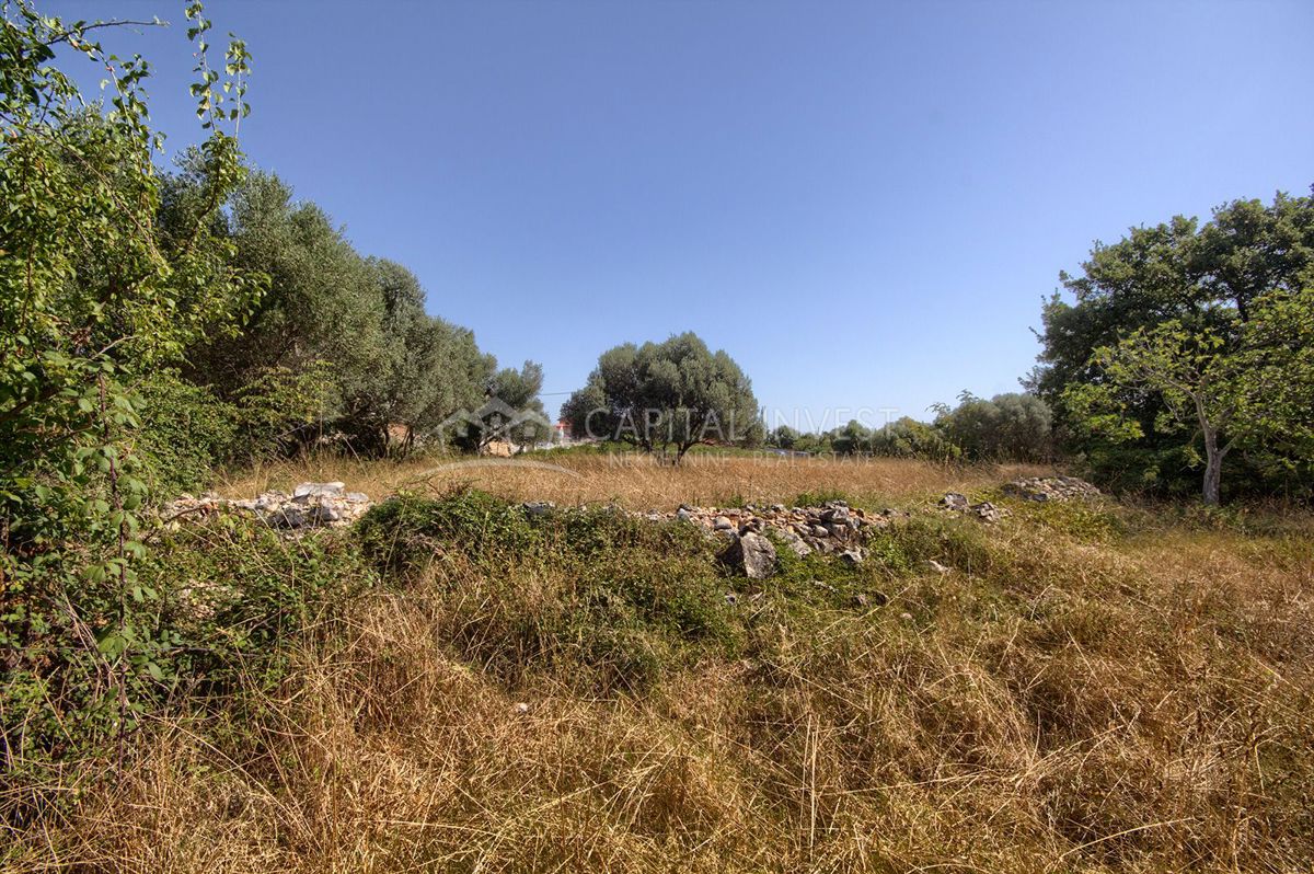 Terreno Pavićini, Marčana, 800m2