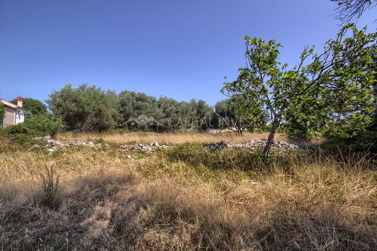 Terreno Pavićini, Marčana, 800m2