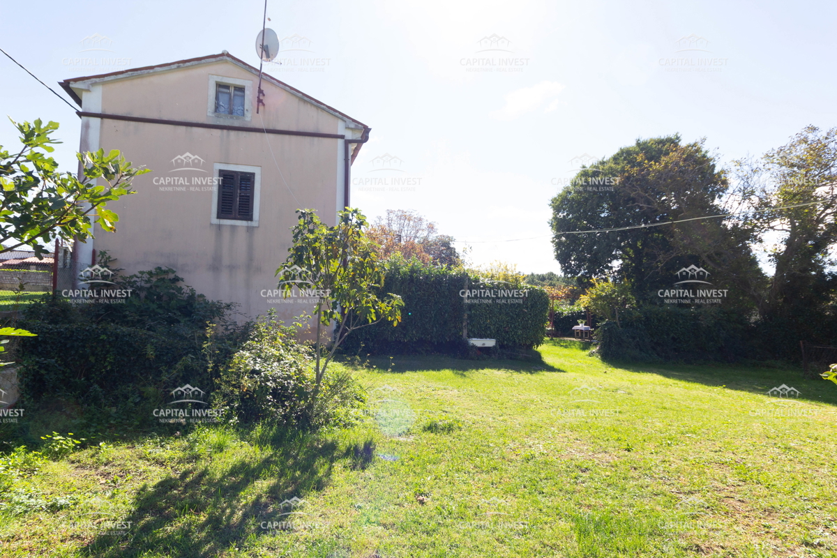 Azienda agricola, Savičenta, Istria