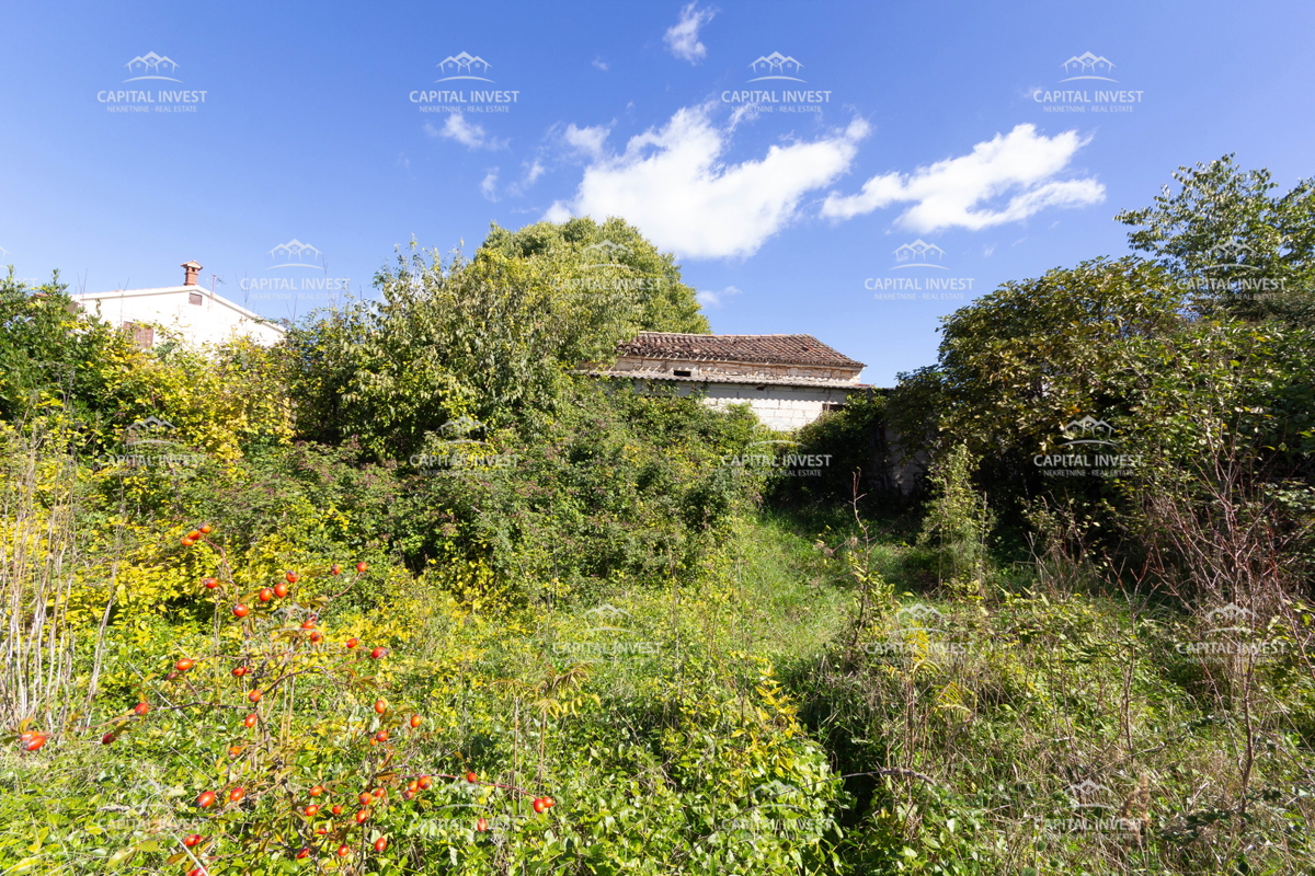 Azienda agricola, Savičenta, Istria