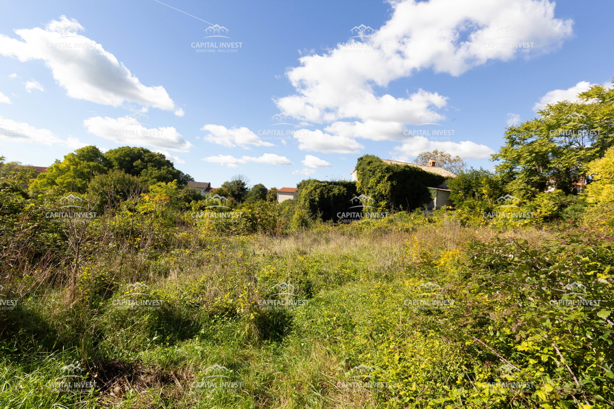 Azienda agricola, Savičenta, Istria