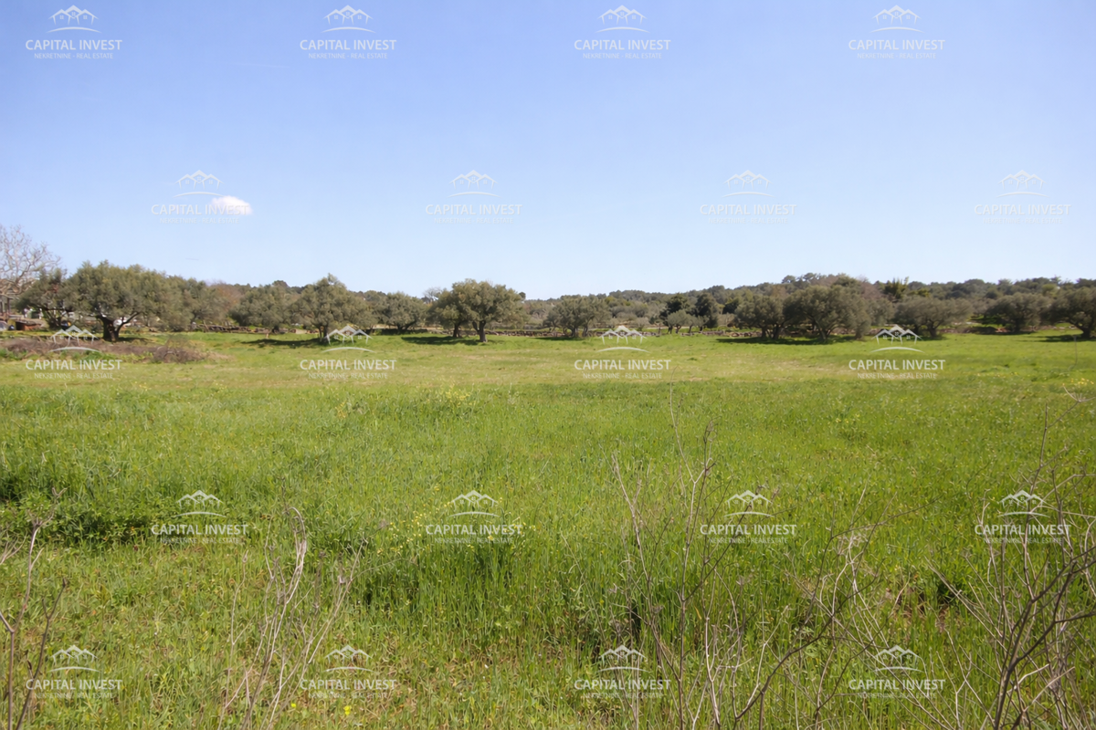 Appartamento, In costruzione, Trilocale, Balcone, Pula, Istra