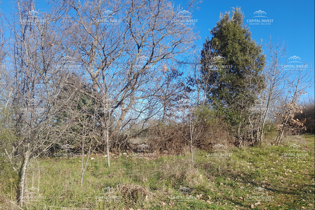 Terreno edificabile, Veliki Vareški, Istria