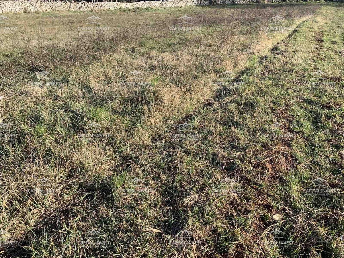Terreno edificabile, periferia di Barban, Istria