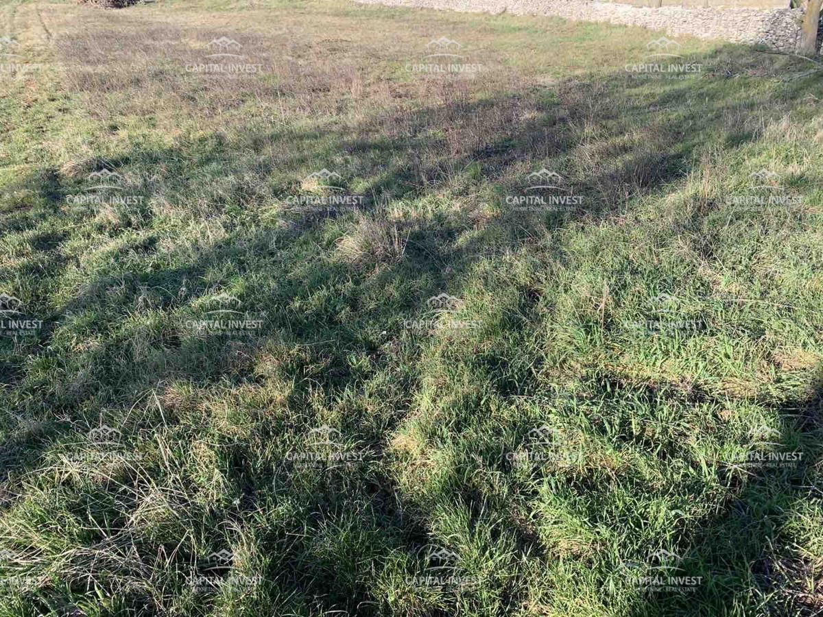 Terreno edificabile, periferia di Barban, Istria