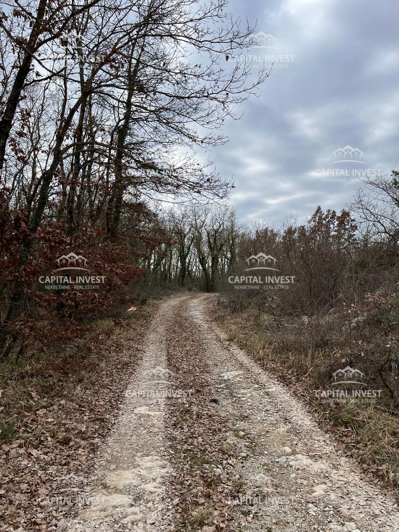 Cava, Lovreč, Istria