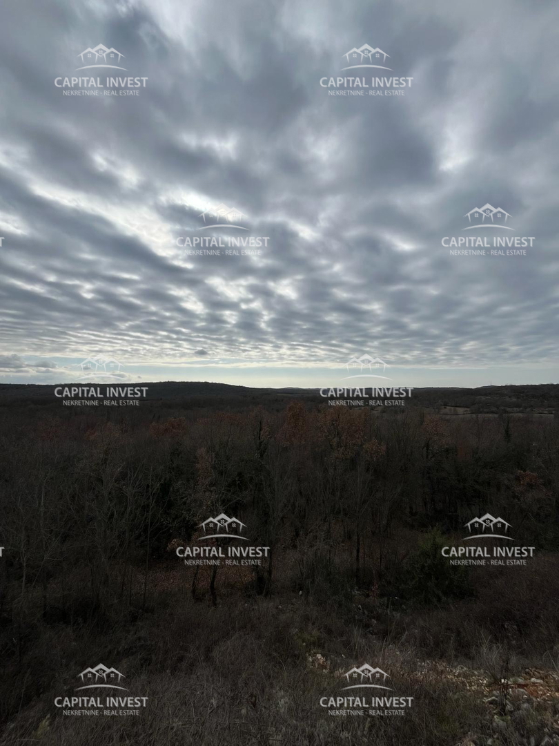 Cava, Lovreč, Istria