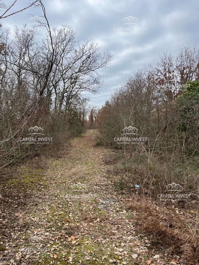 Cava, Lovreč, Istria