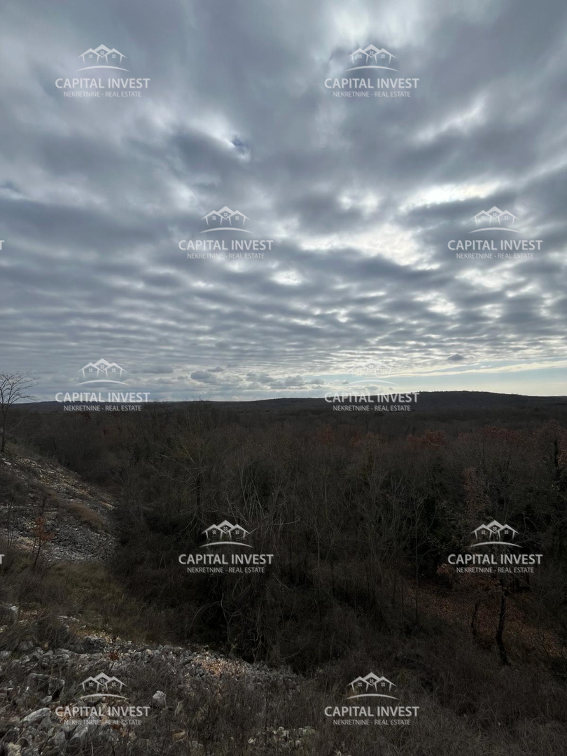 Cava, Lovreč, Istria