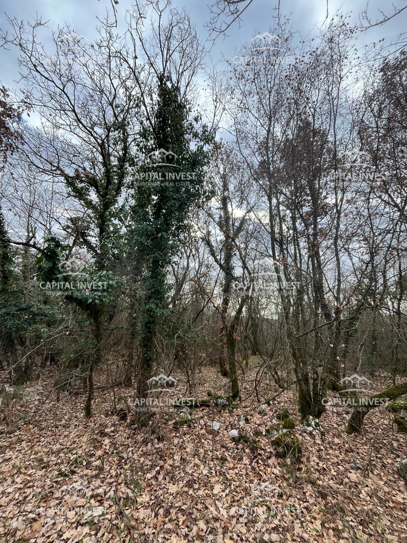 Cava, Lovreč, Istria