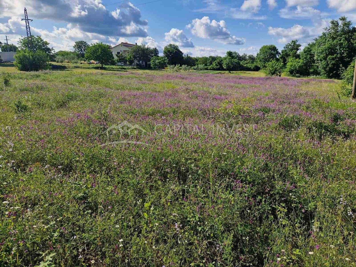 Istria, Bratulići, Terreno edificabile