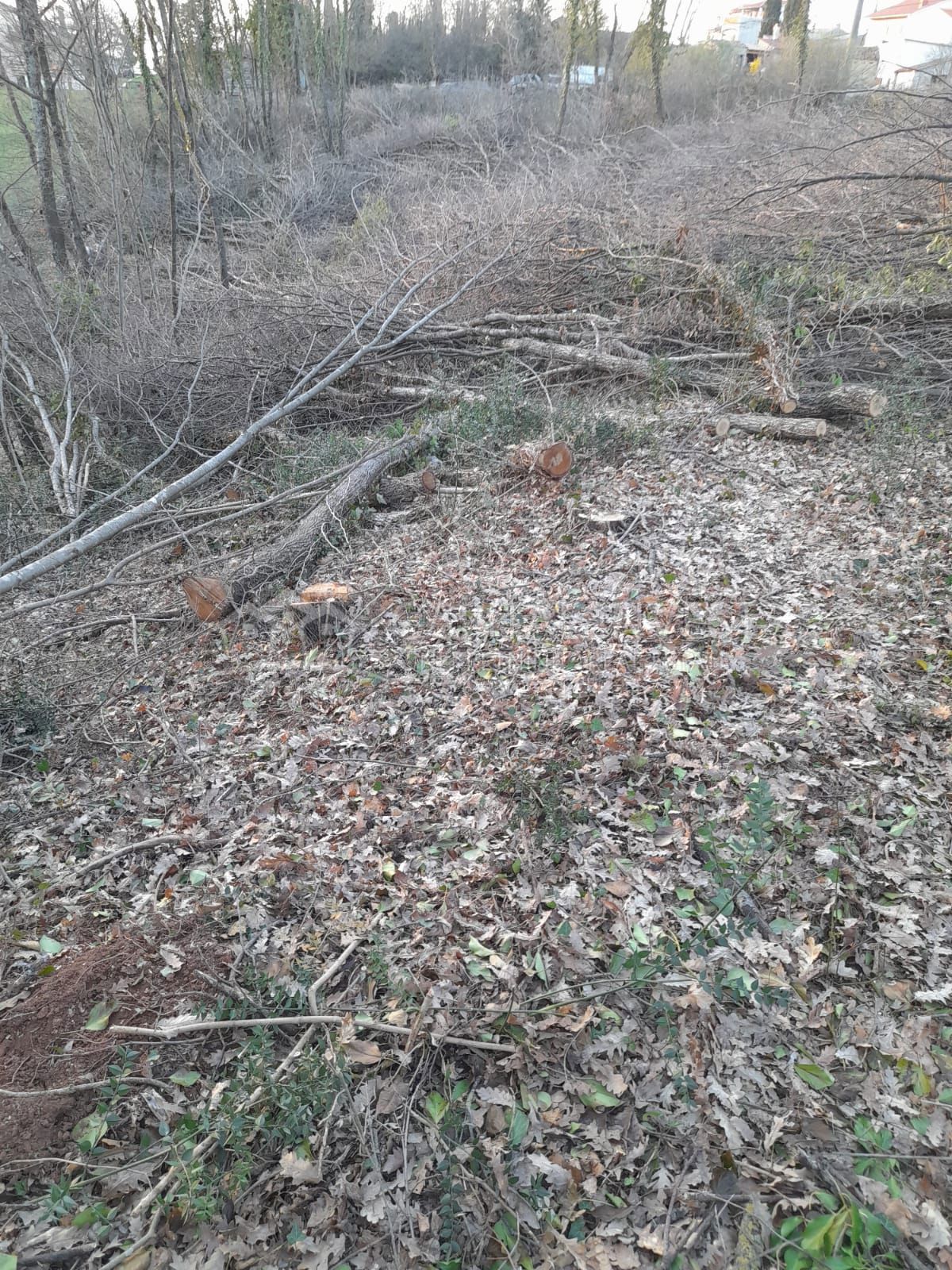 Terreno Križanci, Žminj, 5.800m2