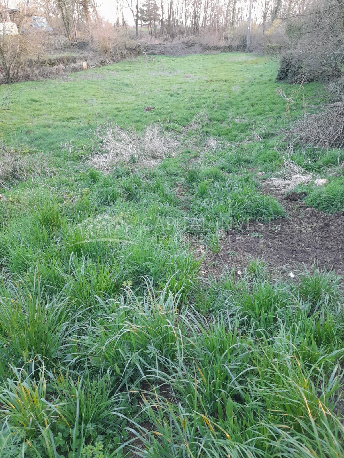 Terreno Križanci, Žminj, 5.800m2