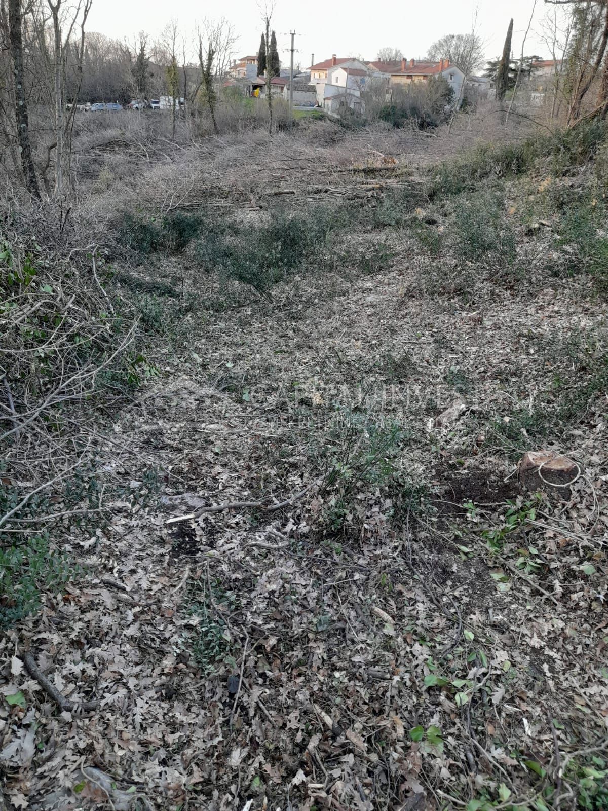 Terreno Križanci, Žminj, 5.800m2
